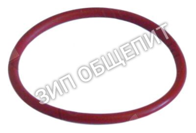 Кольцо уплотнительное 006406 Electrolux для 178104 / 178105 / 178404 / 178405 / 178704 / 178705 / OMV∕E1C
