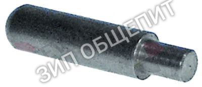 Ось 12023608 Fagor для ACG-201 / ACG-202 / AG-201 / AG-202 / APG-201 / APG-202