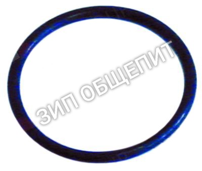 Кольцо уплотнительное OR3131 Omniwash для DUE ACLQ / DUE ACLT / DUE ACSQ / DUE ACST / DUE AQ / DUE AT