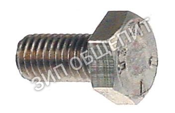 Винт шестигранный 12010030 Virtus для пароконвектомата модели AIC0037-F