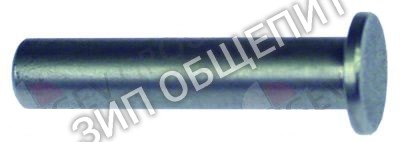 Палец дверной Angelo-Po, ø 8, Д 42мм для L40 / L40S / L60