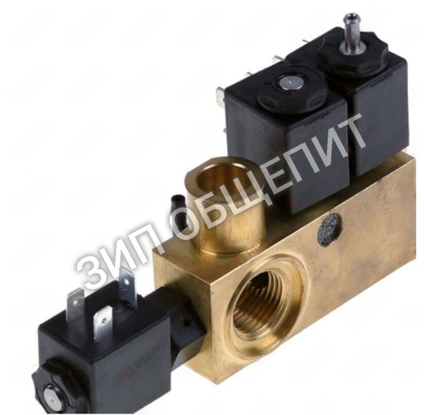 Клапан в сборе 0280029 Henkelman Boxer 35 (24В)